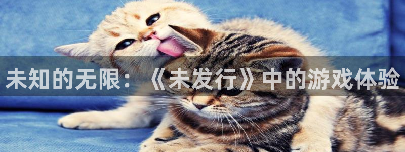 im电竞的寓意