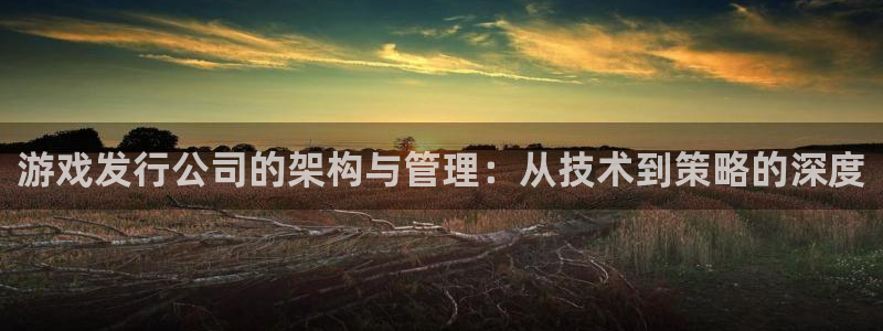 im电竞子集团
