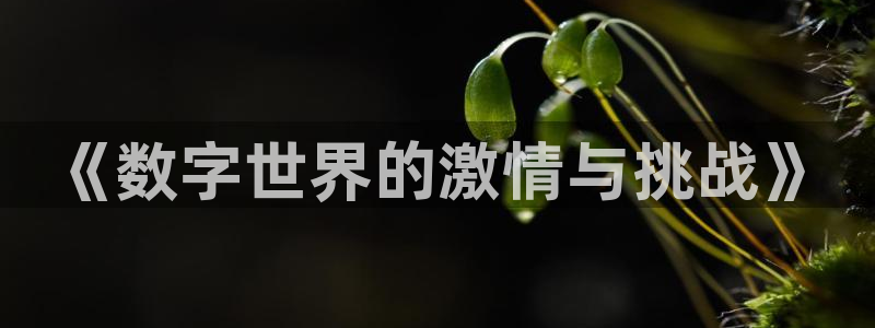 im电竞官网招商主管：《数字世界的激情与挑战》
