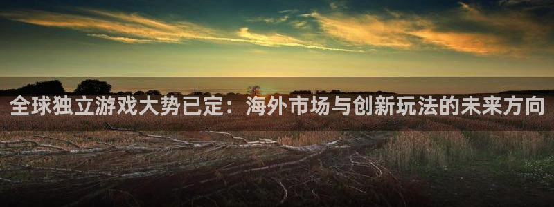 im电竞烟照片：全球独立游戏大势已定：海外市场与创新玩法的未来方向