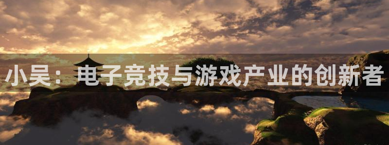 im电竞电子商务有限公司招聘：小吴：电子竞技与游戏产业的创新者