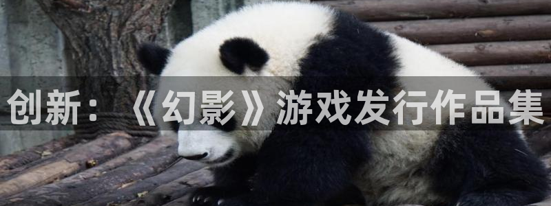 lvncesim电竞衣服：创新：《幻影》游戏发行作品集