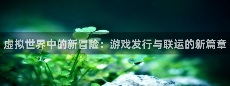 im电竞集团品牌策划机构：虚拟世界中的新冒险：游戏发行与联运的新篇章