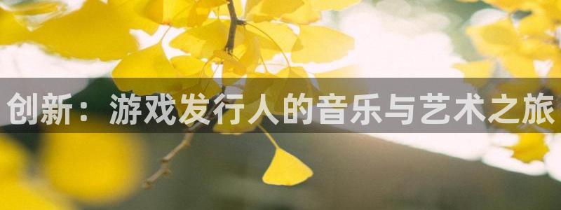 im电竞官网平台合法吗：创新：游戏发行人的音乐与艺术之旅