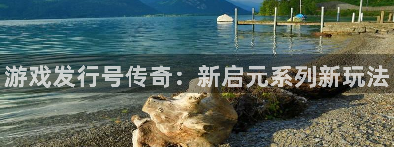 im电竞官网登录注册不了账号