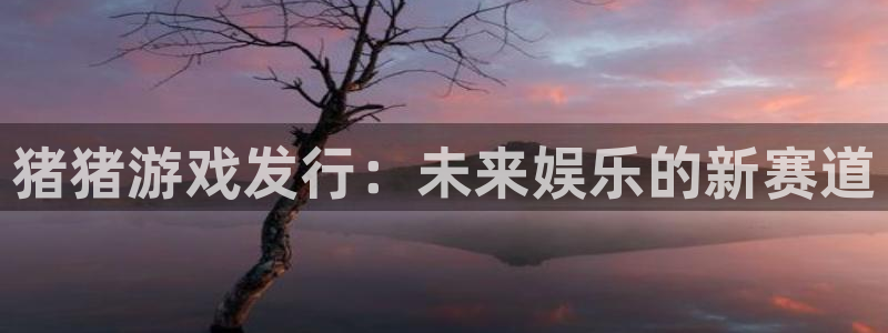 im电竞官网平台怎么样可靠吗：猪猪游戏发行：未来娱乐的新赛道