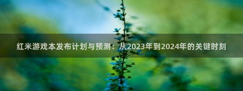 im电竞官网平台注册账号注意事项：红米游戏本发布计划与预测：从2023年到2024年的关键时刻