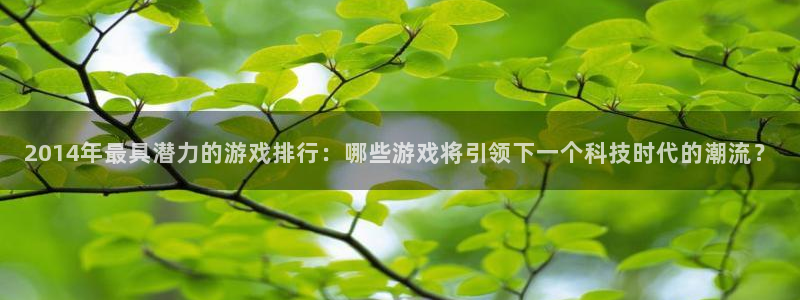 im电竞官网官网注册账号是什么